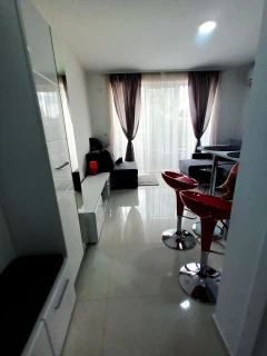 Apartman Studio SILVER Srebrno jezero
