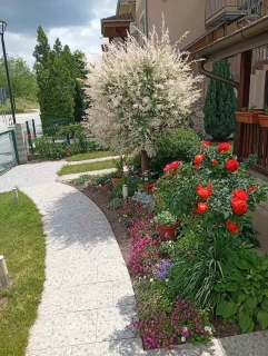 Apartmani Perić Srebrno Jezero