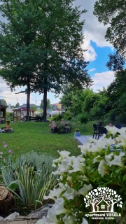 Apartman Vesela