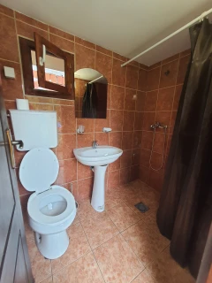 Vila Arsenijević Ristić