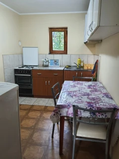 Vila Arsenijević Ristić