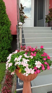 Apartmani "Stela et Luna"